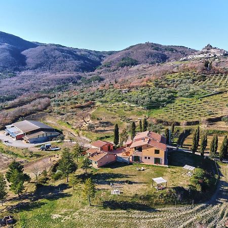 Az.Agr. Il Cavalleggero Campiglia d'Orcia Exterior photo