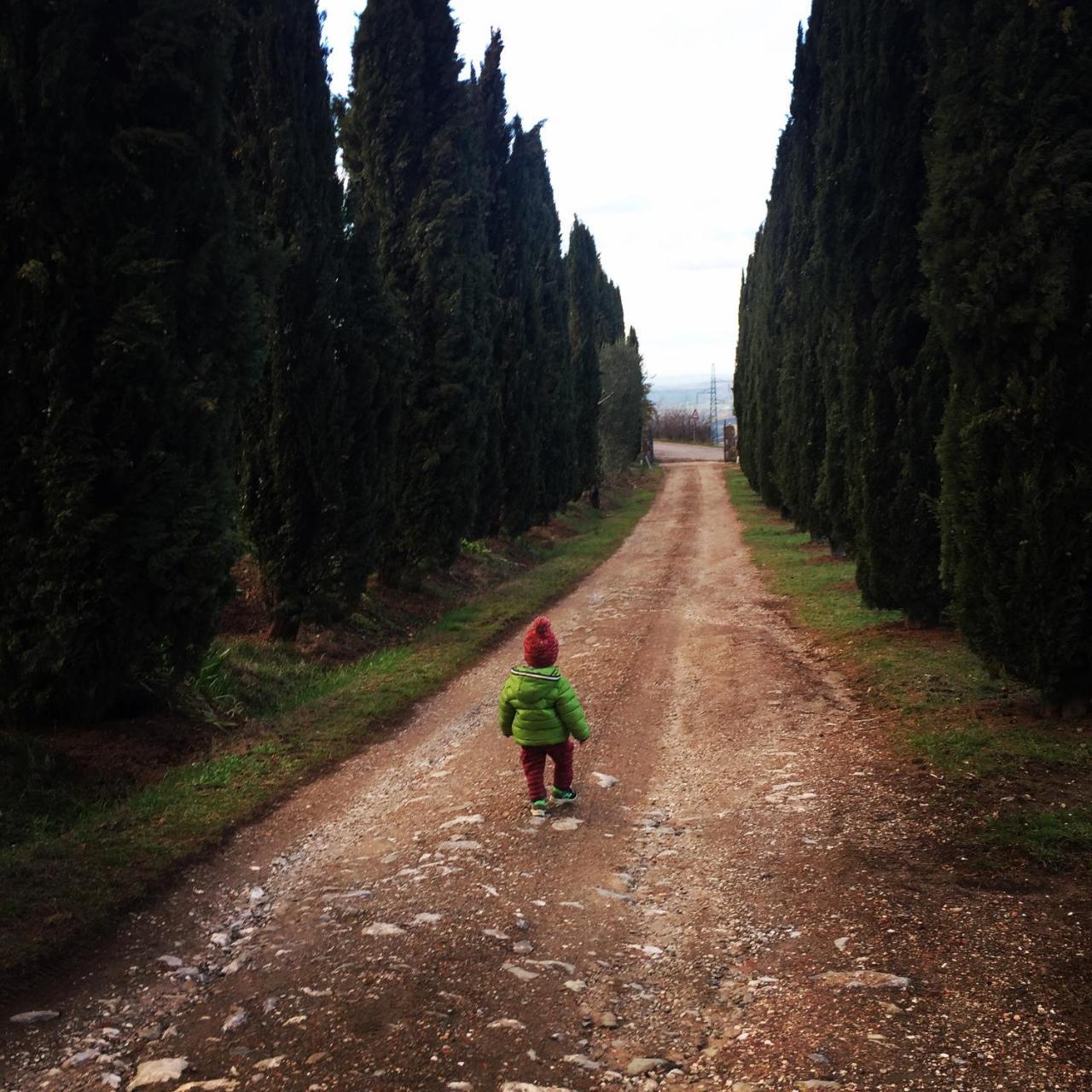 Az.Agr. Il Cavalleggero Campiglia d'Orcia Exterior photo