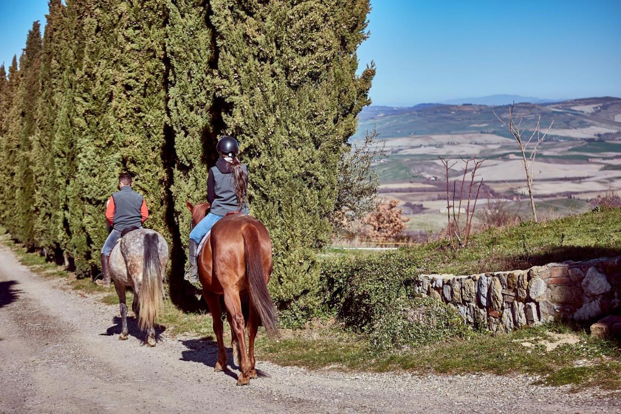 Az.Agr. Il Cavalleggero Campiglia d'Orcia Exterior photo
